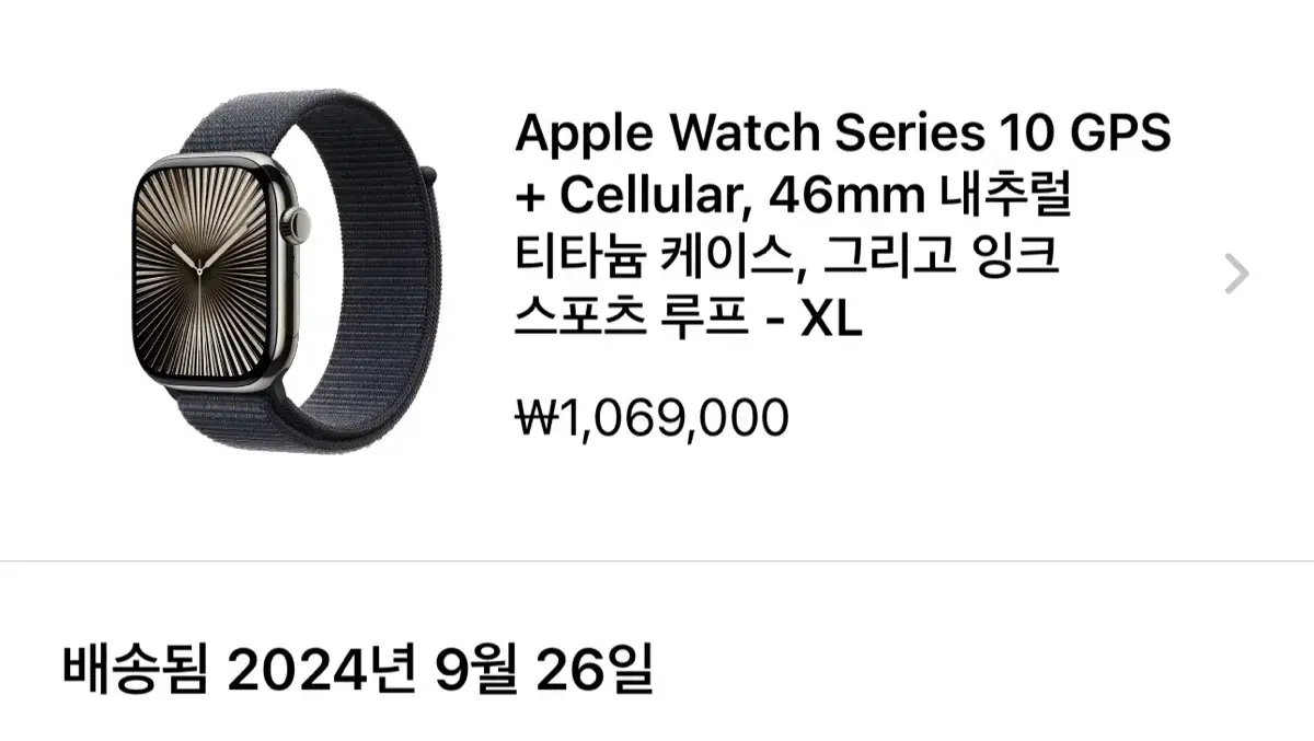 애플워치10 GPS + Cellular, 46mm 내추럴 티타늄, 잉크